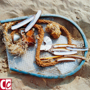 Beachcombing collage