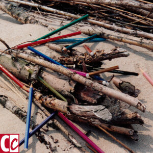 Pencils on the beach