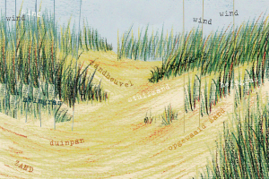 Drawing sand dunes