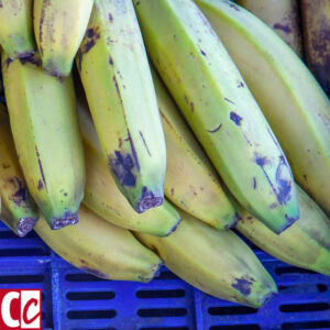 Yellow bananas in a blue box