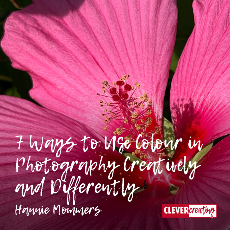Colour Intresting Use 7 Ways to Use Colour in Photography Creatively and Differently