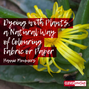 Dyeing with Plants, a Natural Way of Colouring Fabric or Paper