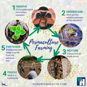 Infographic Permaculture farming
