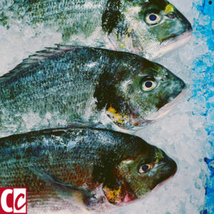 Fish in the supermarket