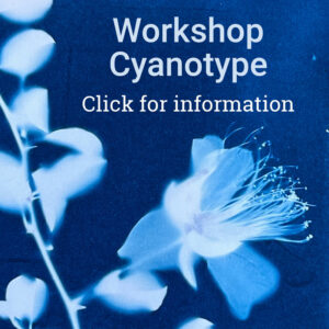 Workshop Cyanotype
